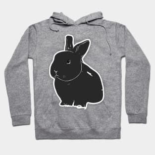 Bunny Bliss Hoodie